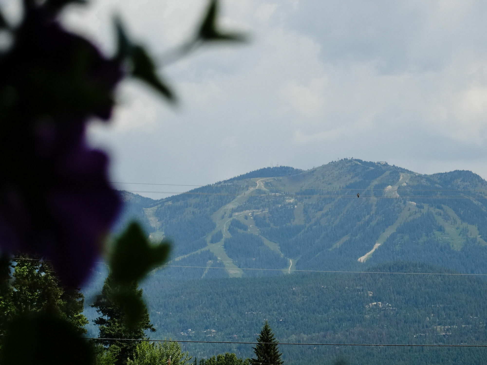 Chalet Inn Whitefish Extérieur photo